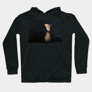 Snow over Water - Snowy Egret Hoodie